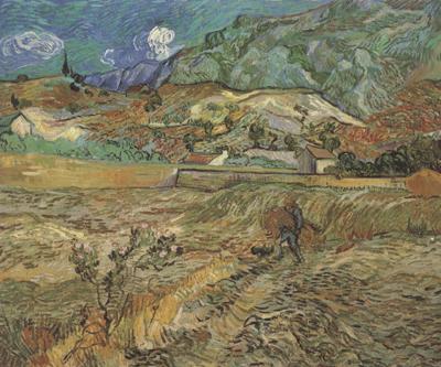 Vincent Van Gogh Enclosed Wheat Field with Peasant (nn04) China oil painting art